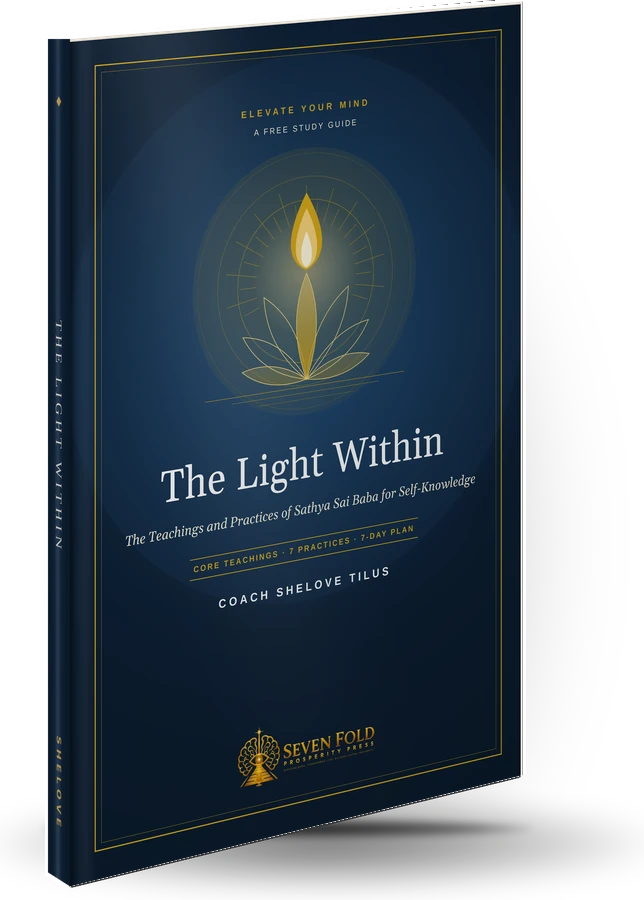 The Light Within book cover, angle view