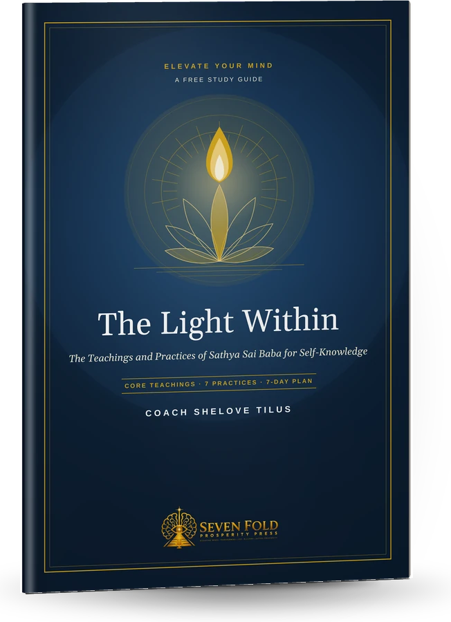 The Light Within book cover